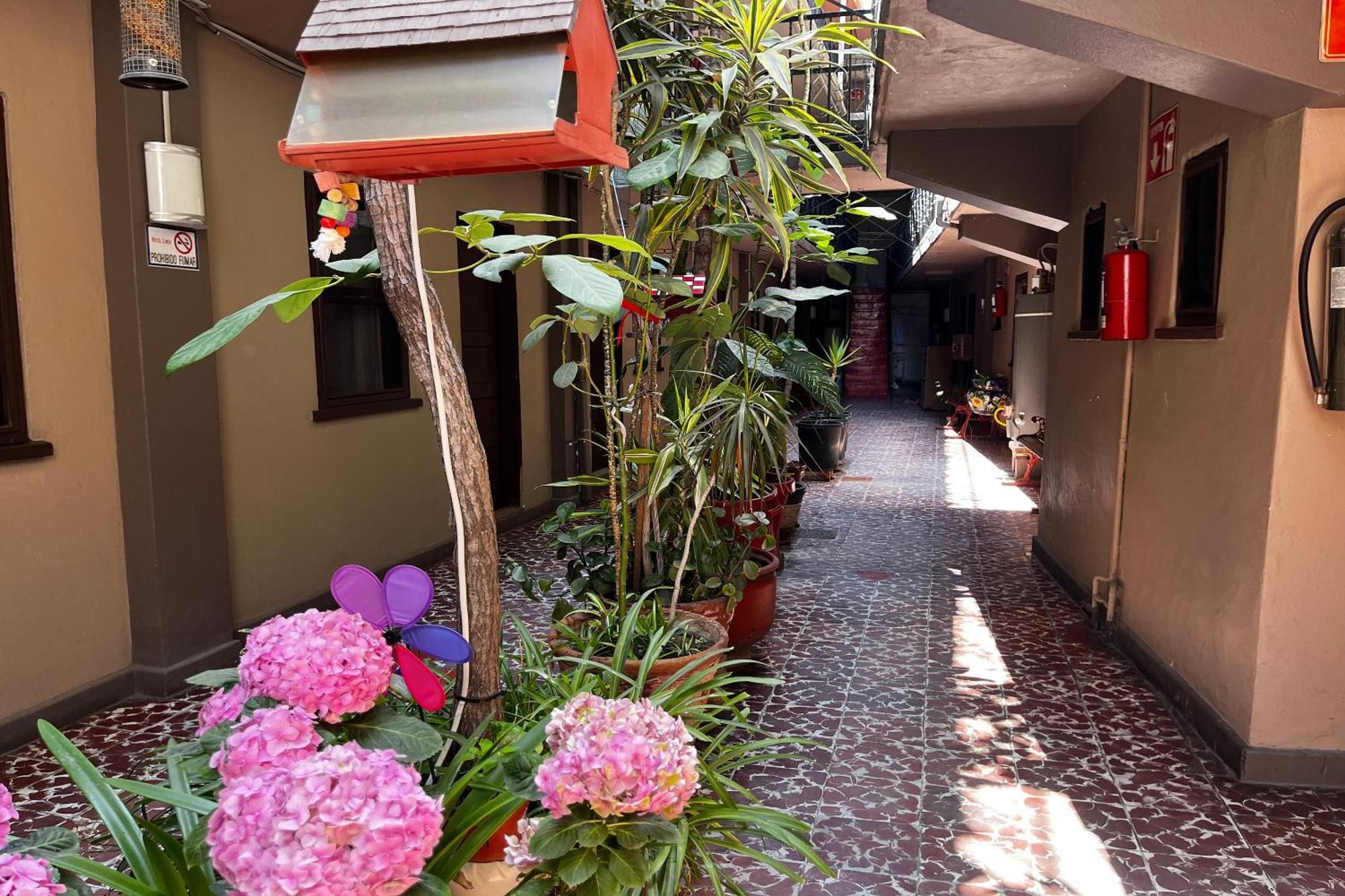 Oyo Hotel Linda Tijuana Dış mekan fotoğraf