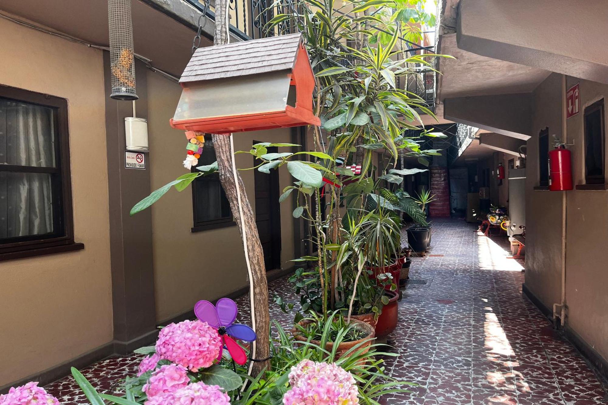 Oyo Hotel Linda Tijuana Dış mekan fotoğraf