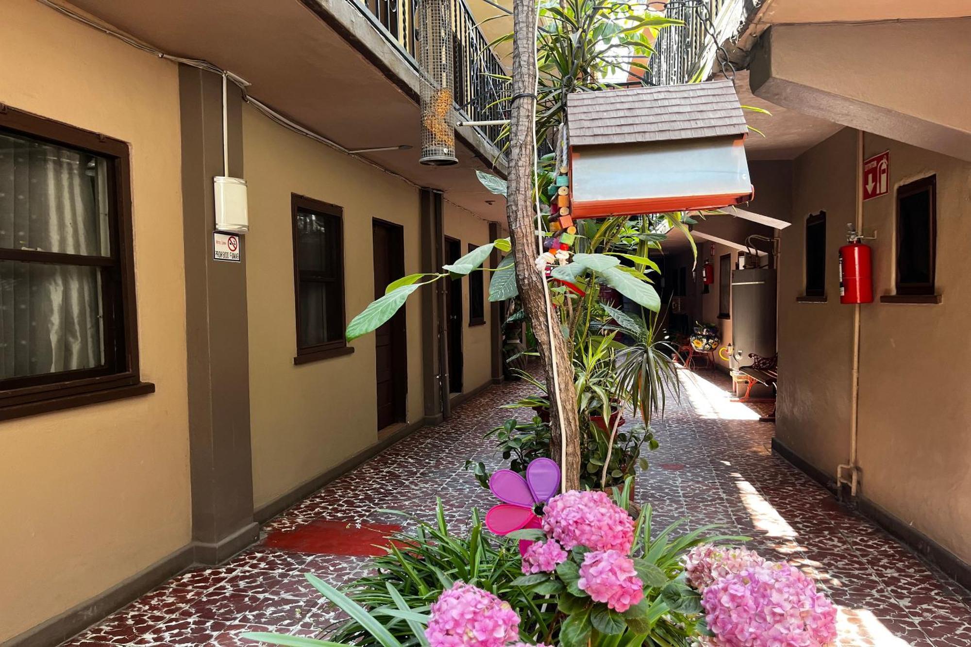 Oyo Hotel Linda Tijuana Dış mekan fotoğraf